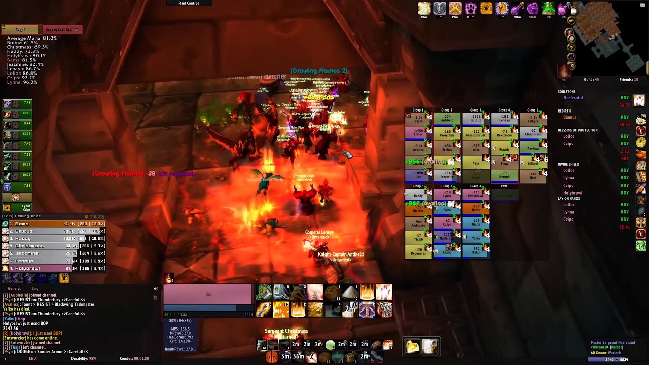 BWL Speedrun in 28:12min Untamed Venoxis Paladin PoV