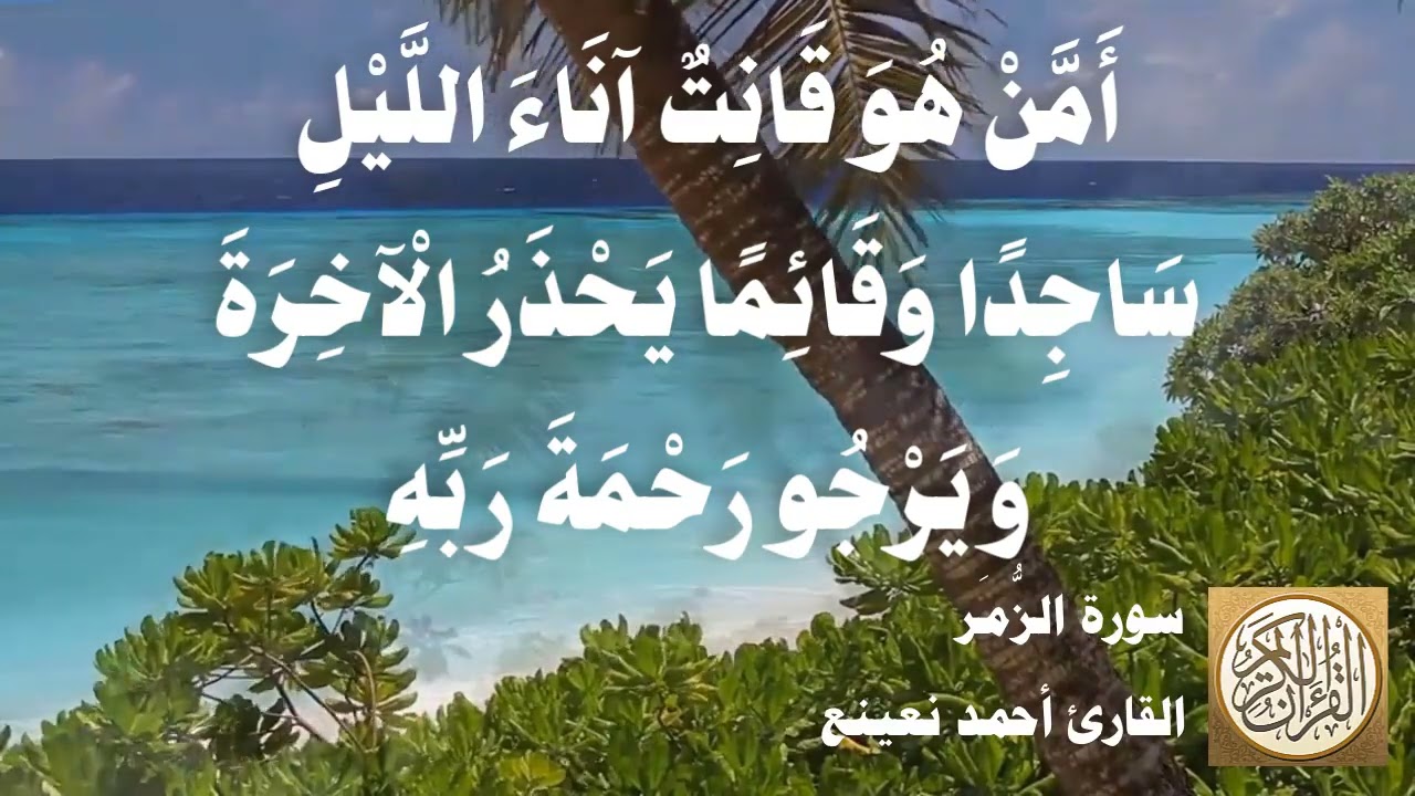 039 أحمد نعينع - سورة الزمر
