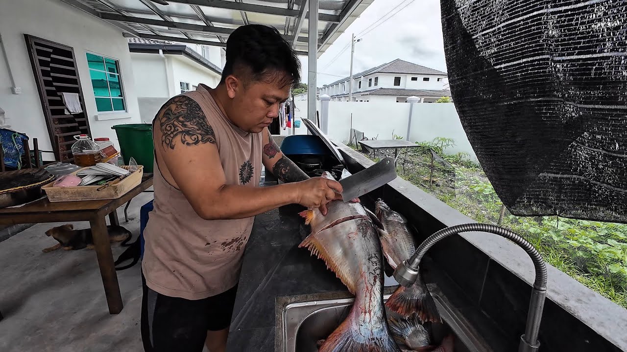 CARA POTONG DAN PROSES IKAN PATIN SUNGAI BIAR MASAK TIDAK BERBAU // 
