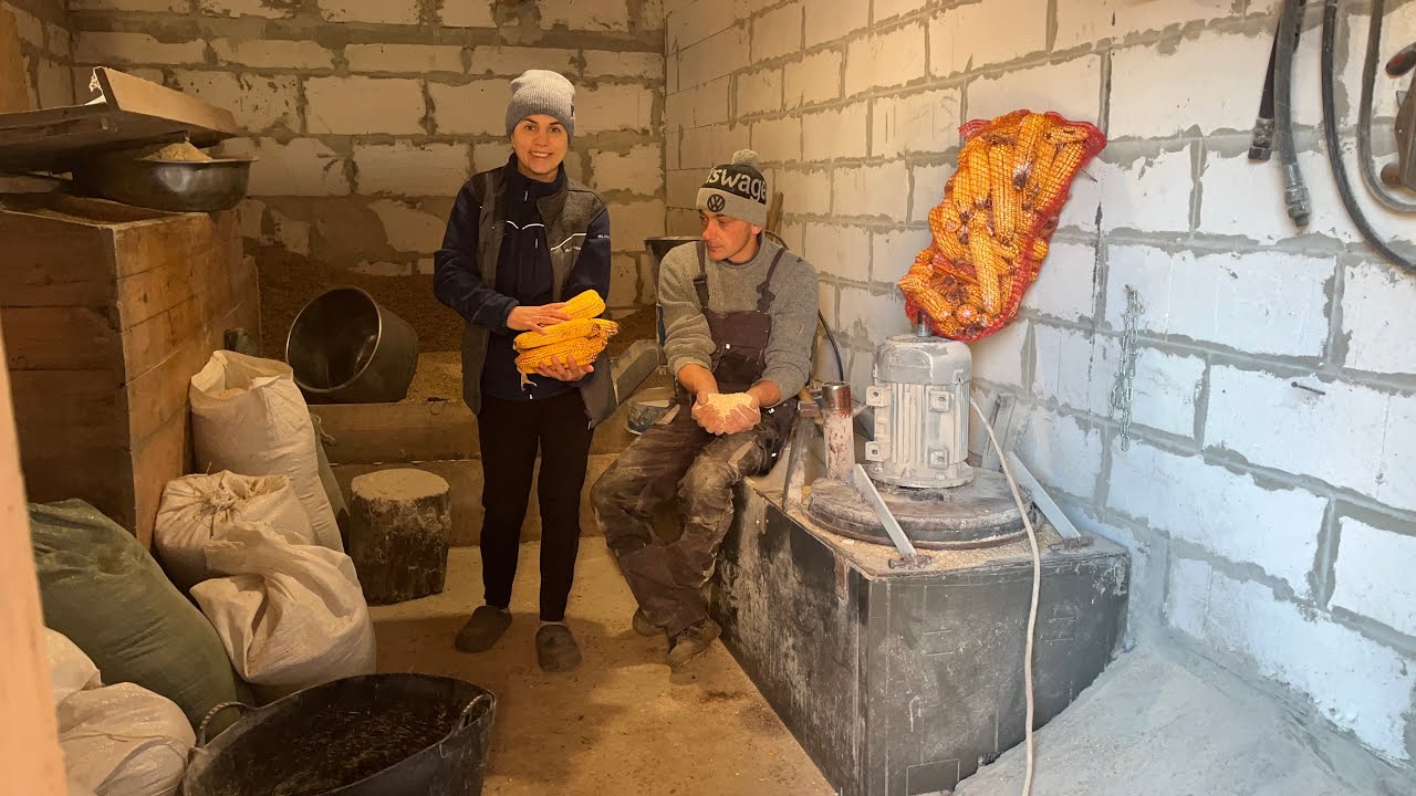 ДКУ своїми руками в роботі, просто і швидко! Перебиваємо качани із серцевинами! Раціон бичків!