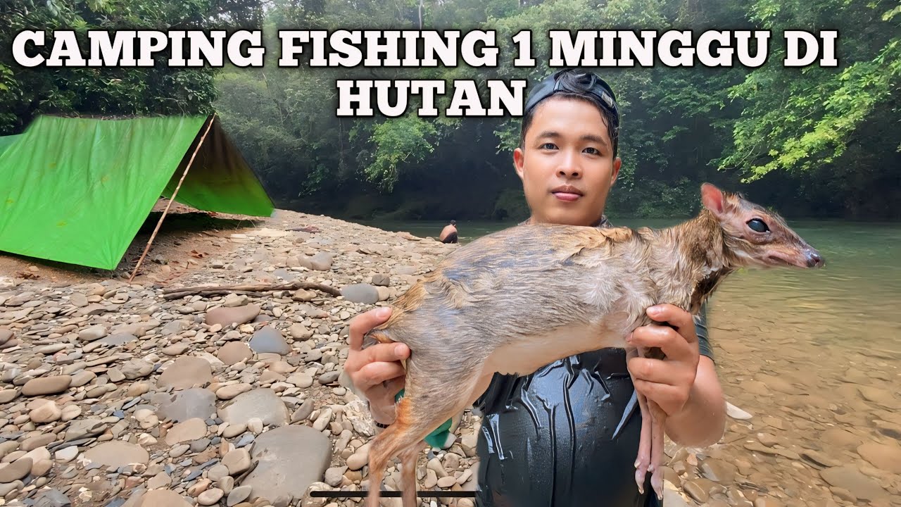 Camping Fishing 1 Minggu Hujan Deras Cuaca Buruk Bermalam di hutan Masak dan Makan Ikan Sungai