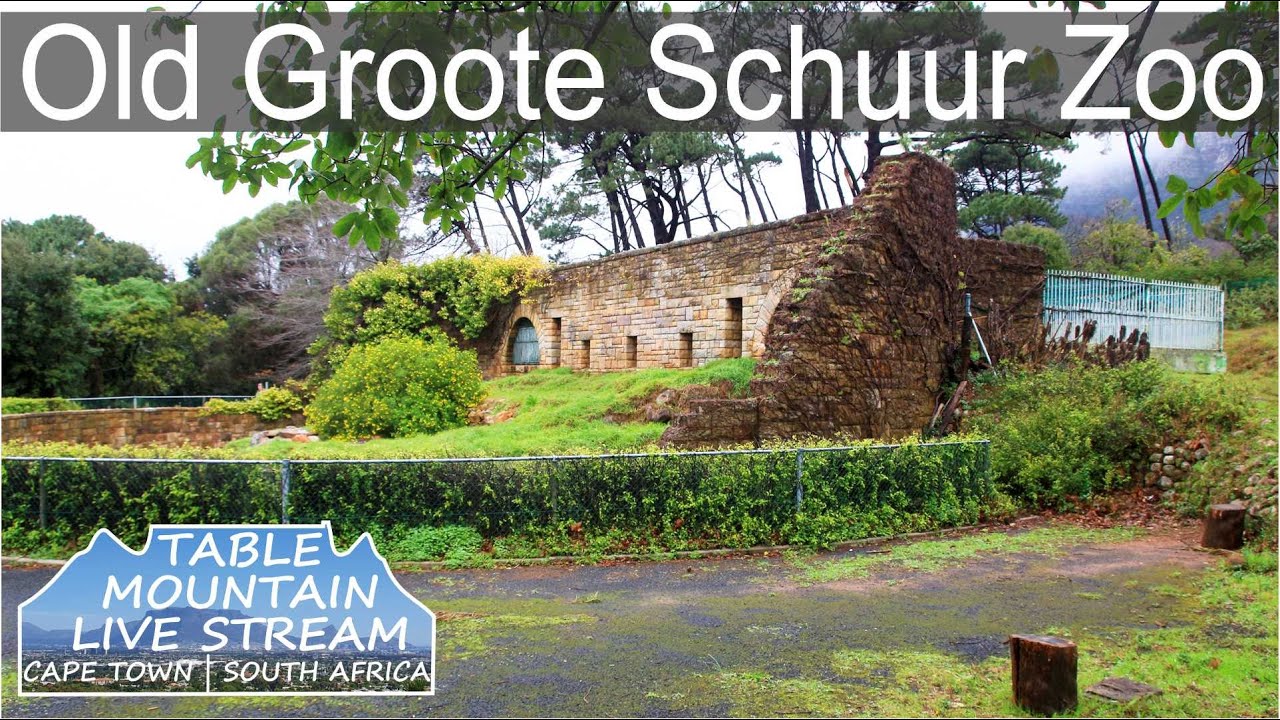 Old Groote Schuur Zoo | Table Mountain Live Stream