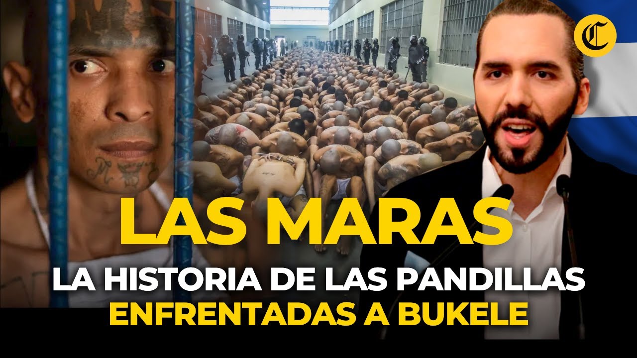 Mara Salvatrucha: de PANDILLA CALLEJERA en LOS ÁNGELES a organización TERRORISTA | El Comercio