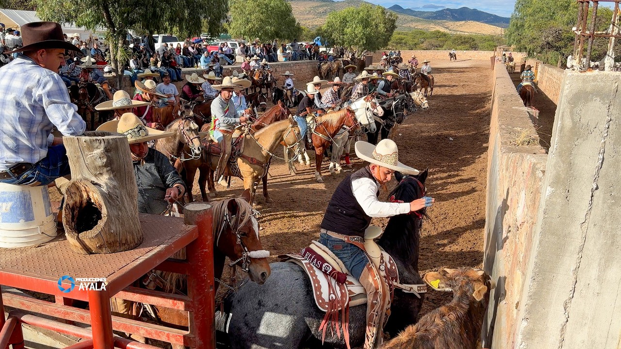 COLEADERO EN JOMULQUILLO JEREZ ZACATECAS 10 DE DICIEMBRE 2025