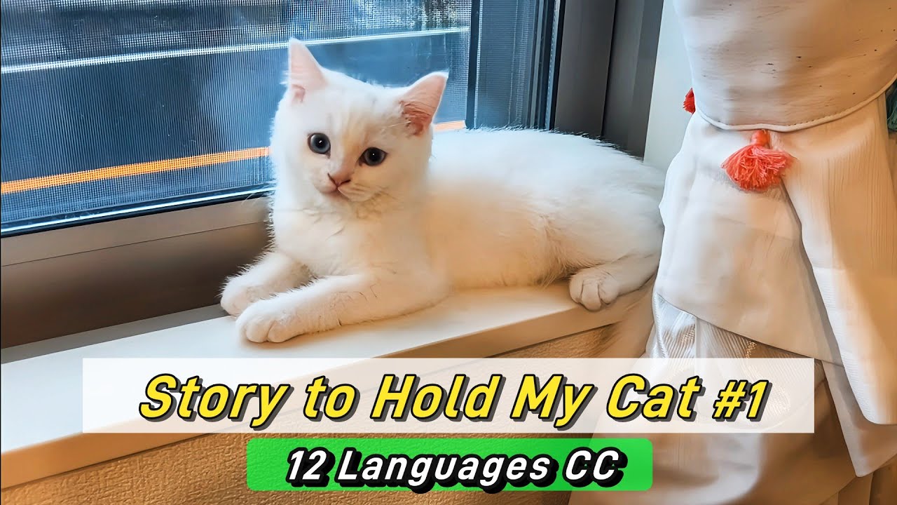 Story to hold my Cat #1｜3 Things I Keep in Mind (Still Learning)