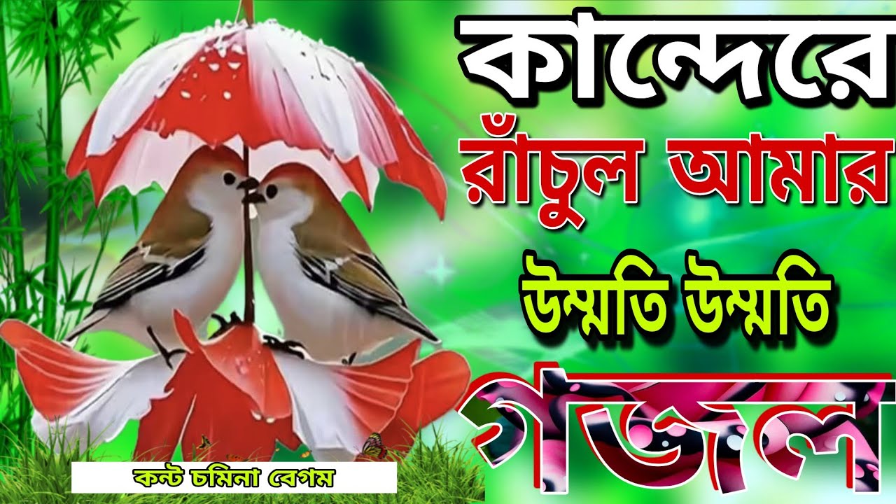 কান্দেরে রাঁচুল আমার উম্মতি উম্মতি খুবই দুঃখের নতুন কয়েকটি গজল // Somina Begum // New bangla gojol