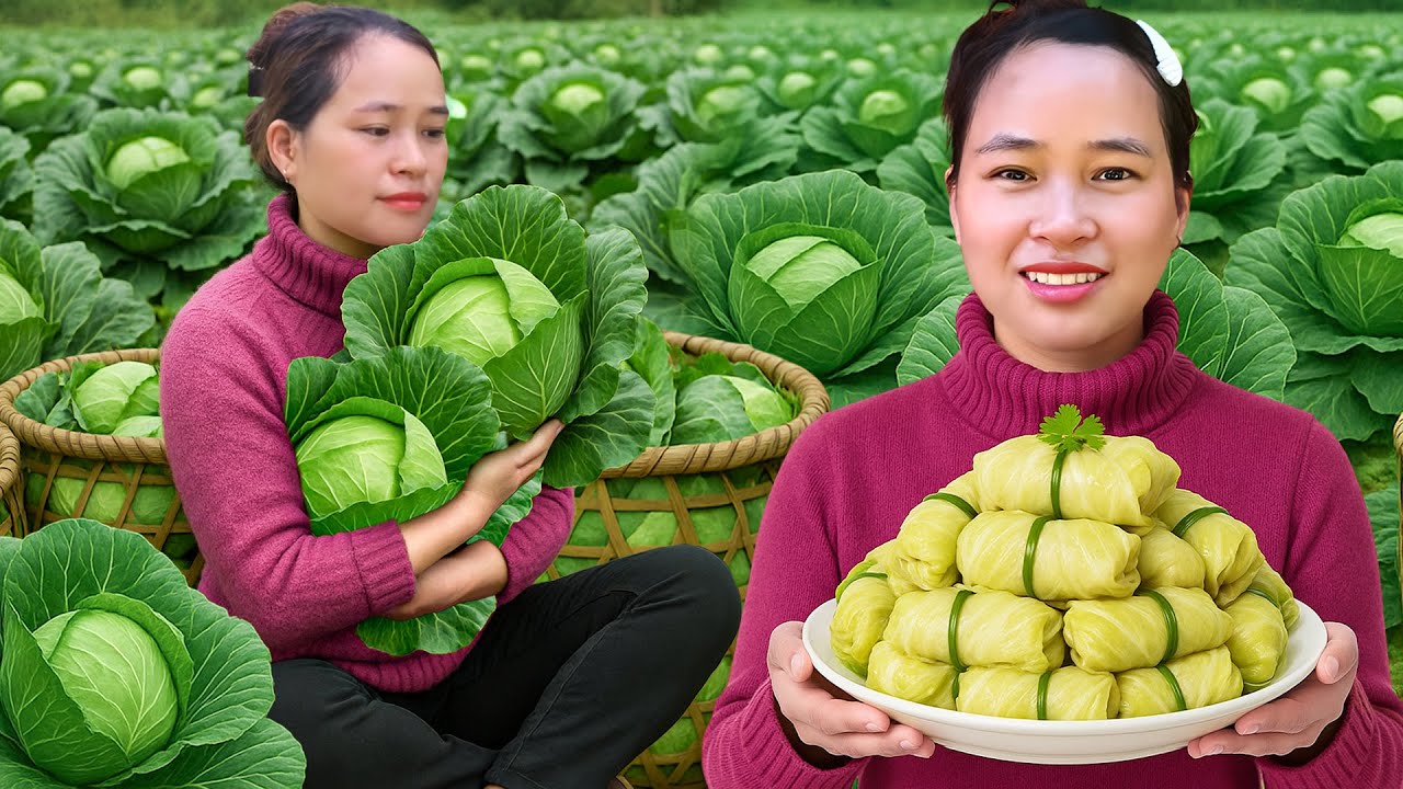 自分の畑で育てたキャベツを収穫🥬太陽の恵みを感じる一日☀️