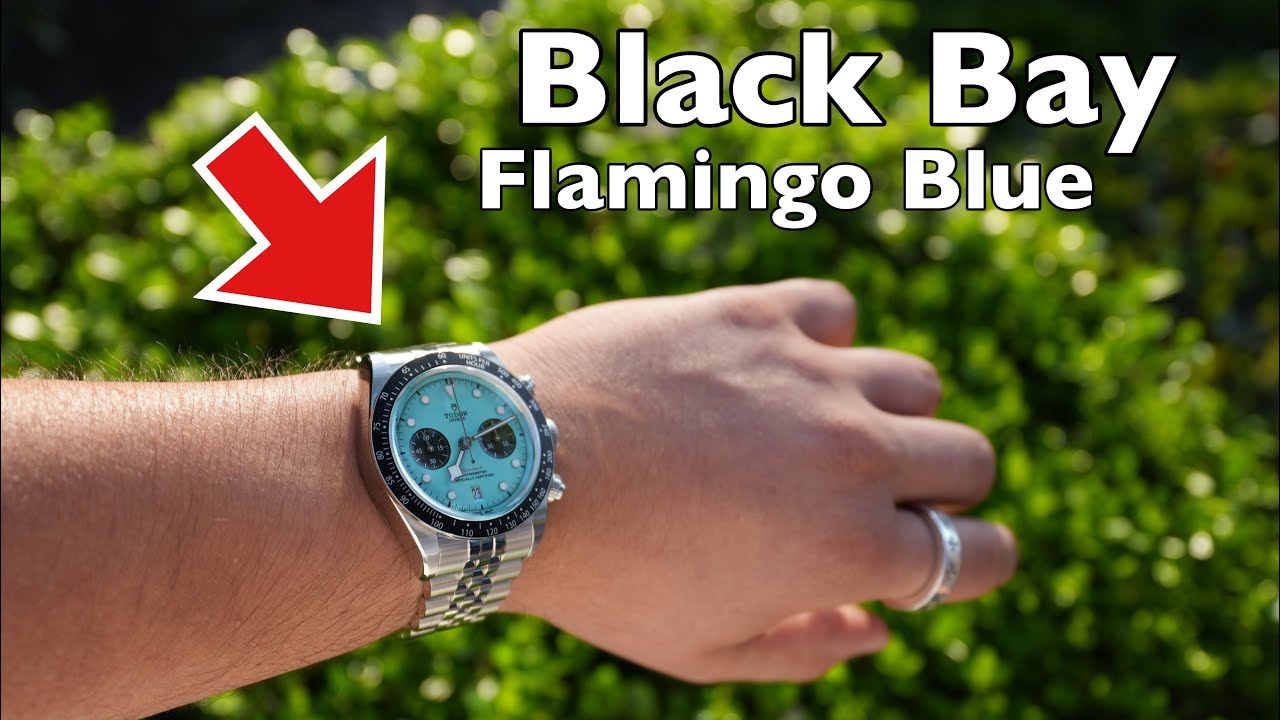 The Most Rare Tudor Black Bay Chrono / Black Bay Chrono Flamingo Blue