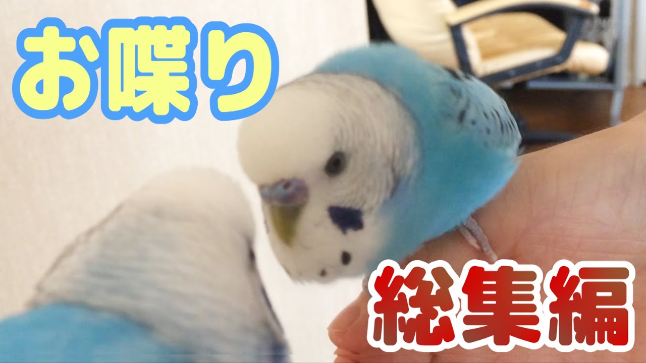 うめのお喋り総集編！① 【生後3ヶ月～2才】