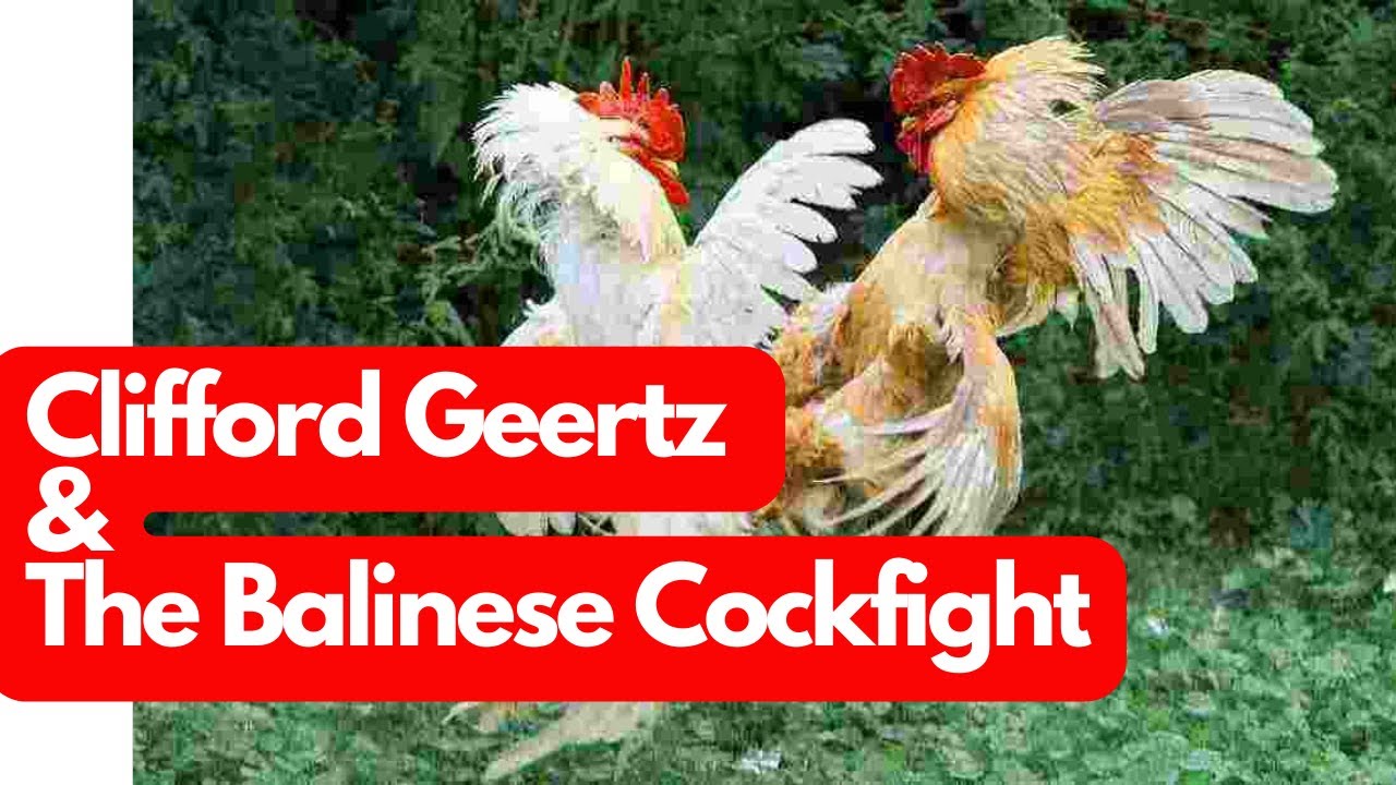 Clifford Geertz's Deep Play: Notes on the Balinese Cockfight #Geertz #Anthropology #Bali