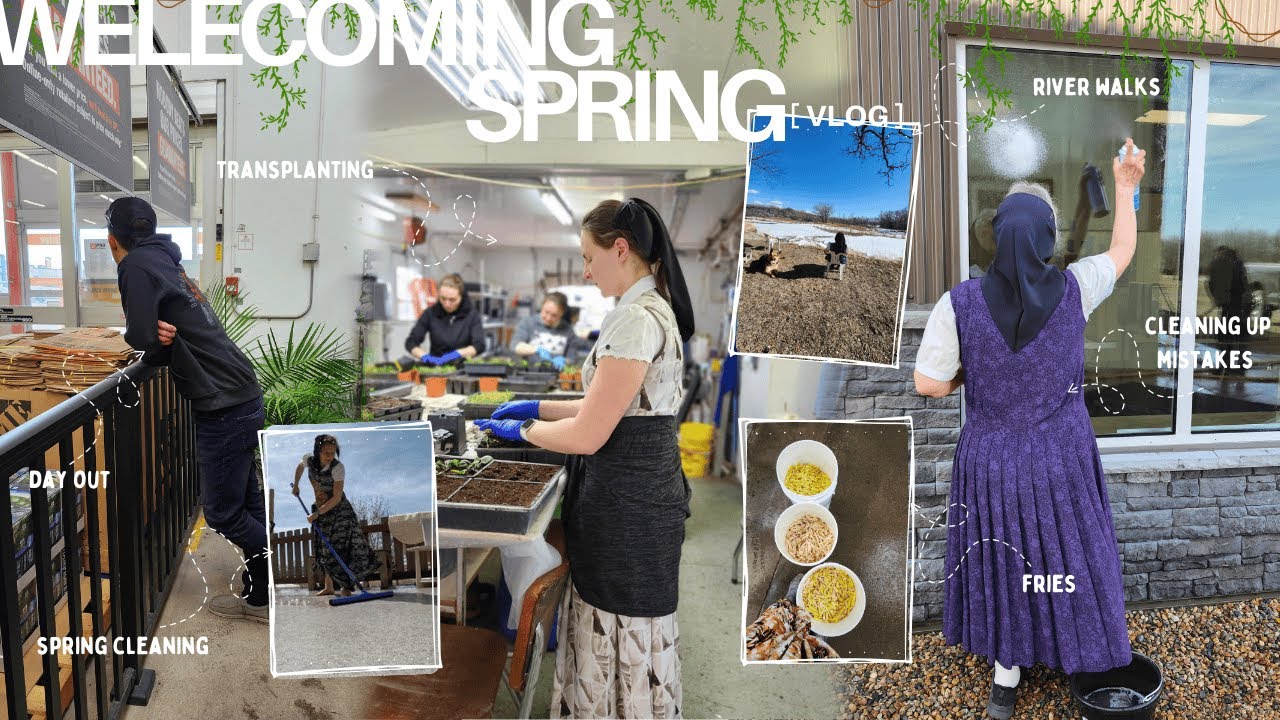 eventful to the very end | spring on a Hutterite colony