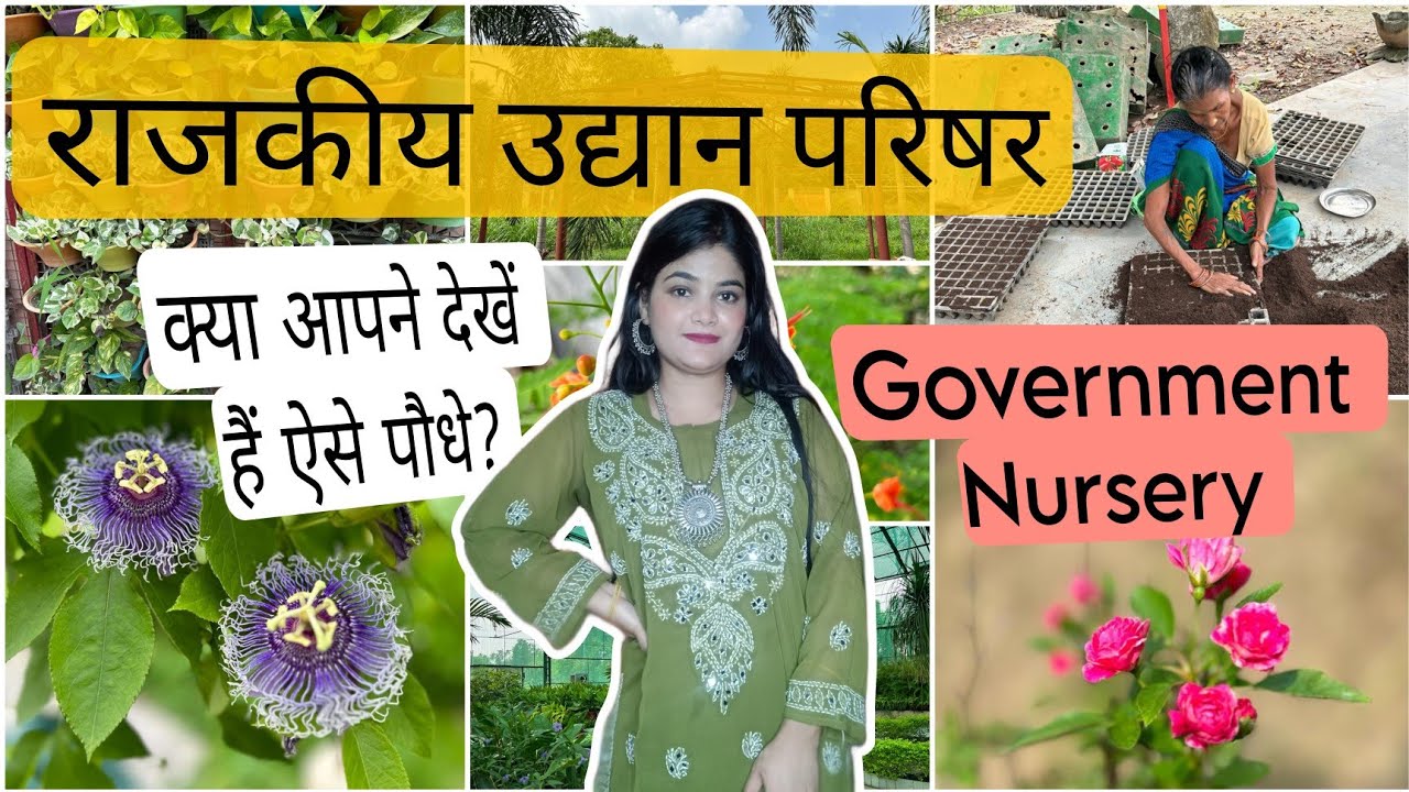 Rajkiya Udyan Parishar|Government Nursery|Best Quality plants 🌱🌱🍀|राजकीय उद्यान परिषर |Rajkiya Udyan