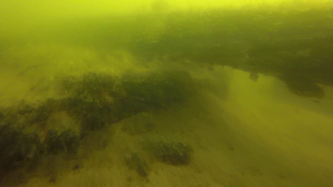 Jezioro Firlej - zatopione beczki koło LOKu