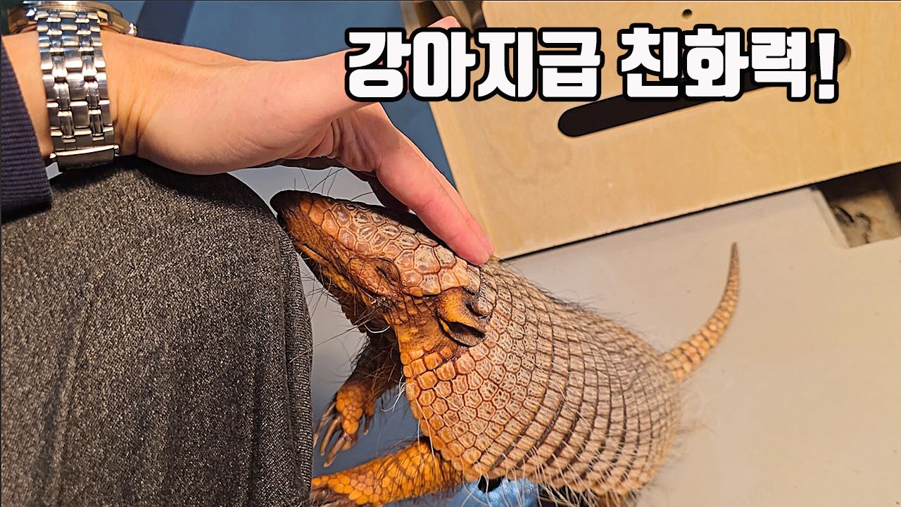 신기하게 생긴 희귀동물인데 친화력 무슨일이죠?? 키우고 싶어졌어....