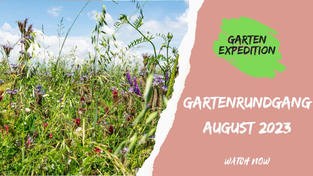 Gartenrundgang August 2023 mit Erklärungen