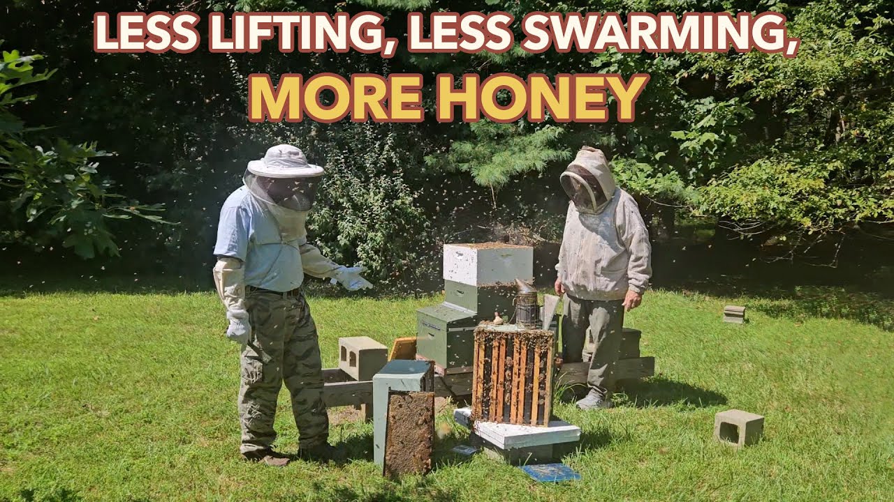 Another Two Queen Keeper We Started This Year Made 200+ Pounds of Honey...