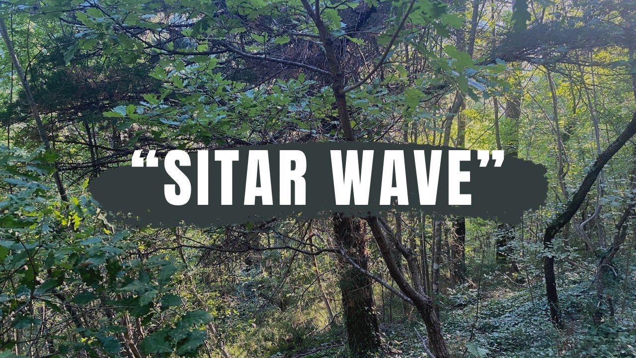 Abstract music song “SITAR WAVE”