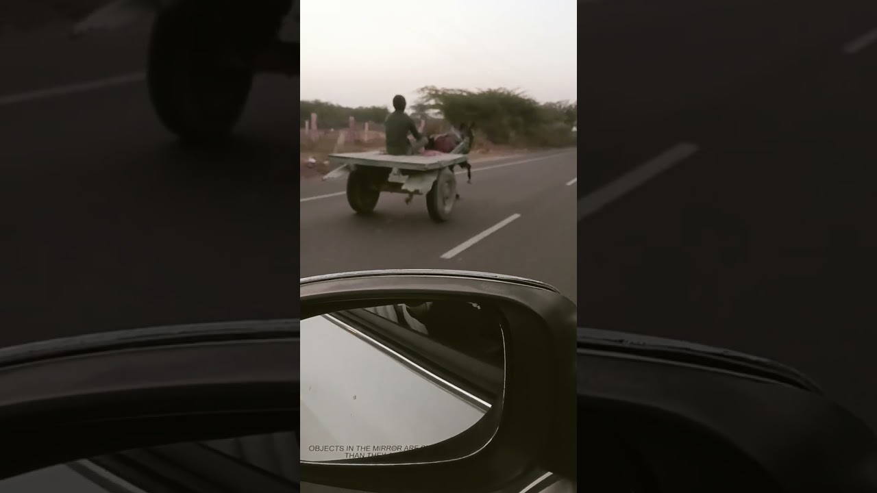 लाडनूं हॉर्सरेस वीनर सकील  तारीक 12/1/2026 कीलोमीटर 13/