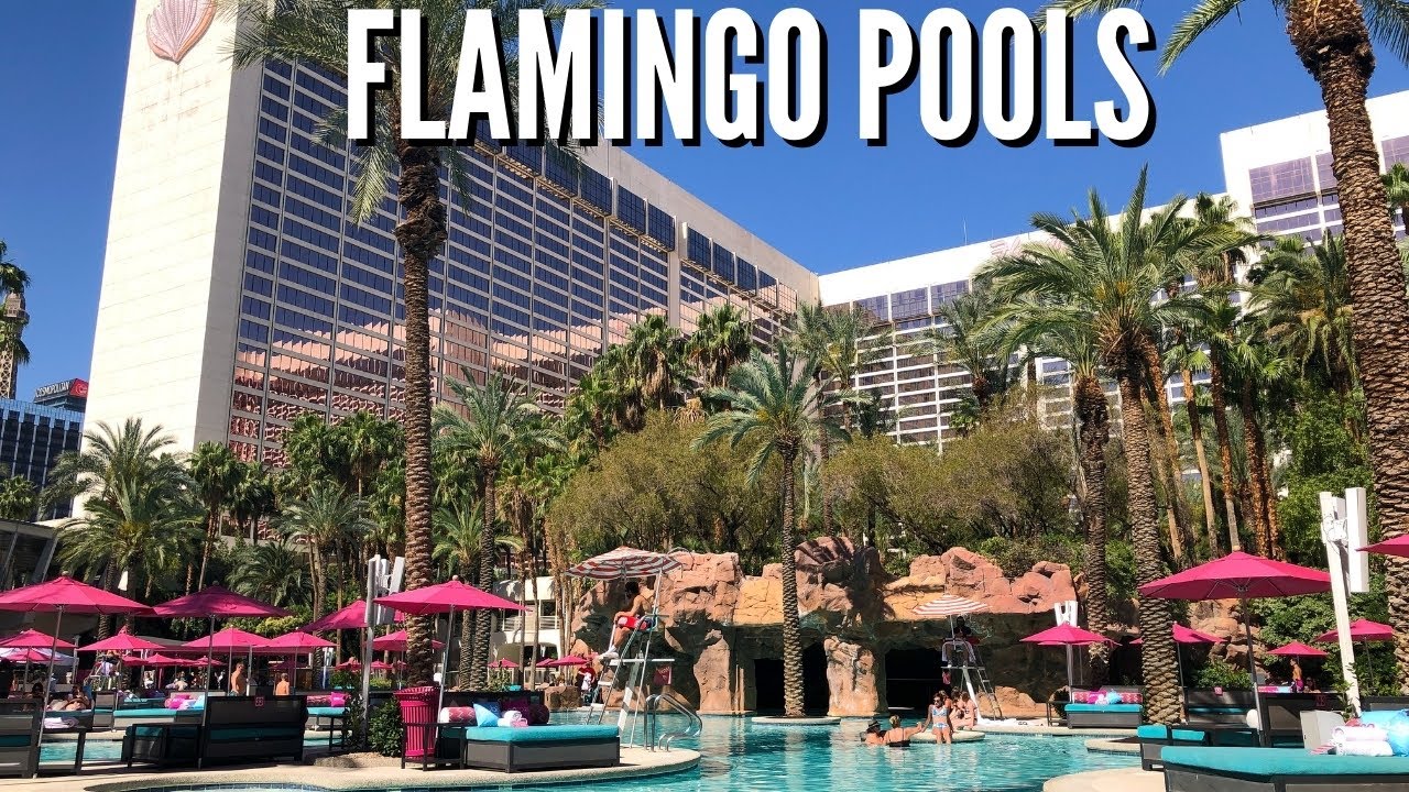 FLAMINGO LAS VEGAS POOL 👙 | Flamingo Pool Go Pool Dayclub & Beach Club Best Pools in Las Vegas 2021