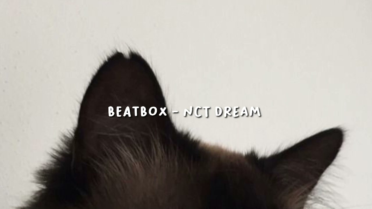 Beatbox - Nct Dream (speed up)