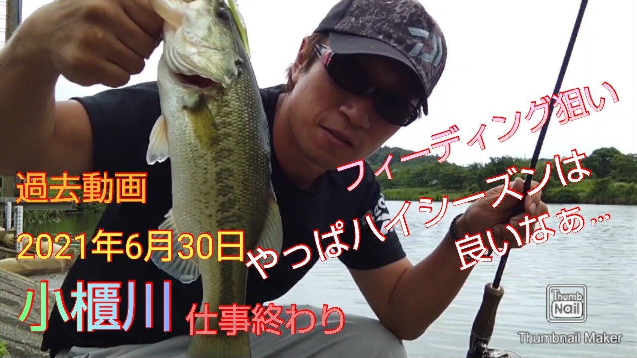 (過去動画)中々釣れねぇので、初夏の小櫃川(バス釣り)