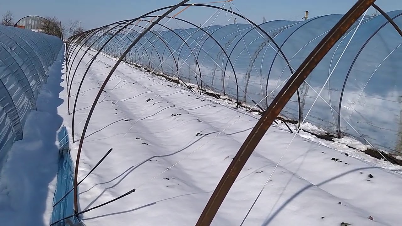 Балаганы, которым не страшен снегопад