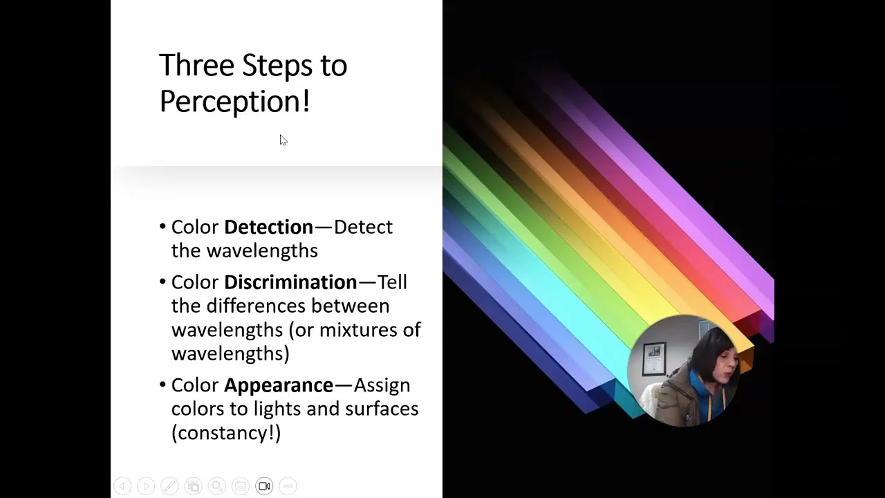 S&P Color Vision