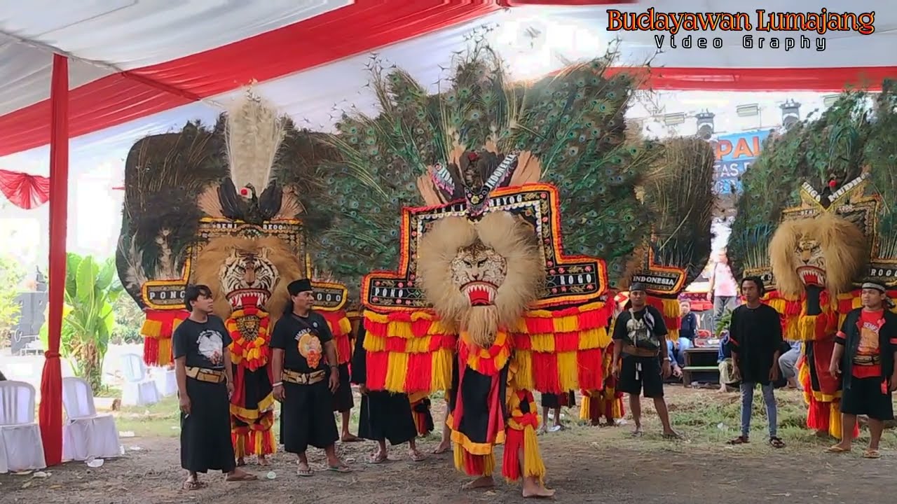 SOLAH PEMBARONG DADAK MERAK PAWARGO REOG LUMAJANG
