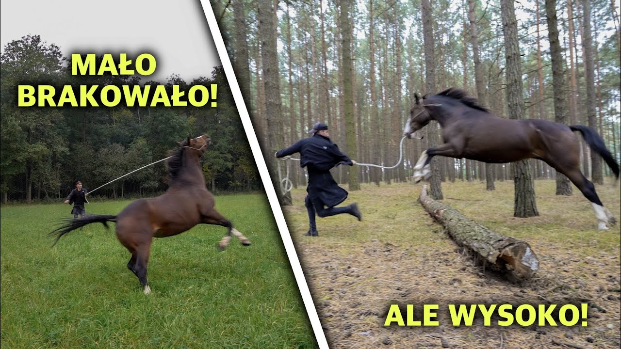 SPACER NA HALTERZE 🐴 || PRAWIE MI UCIEKŁA 😱