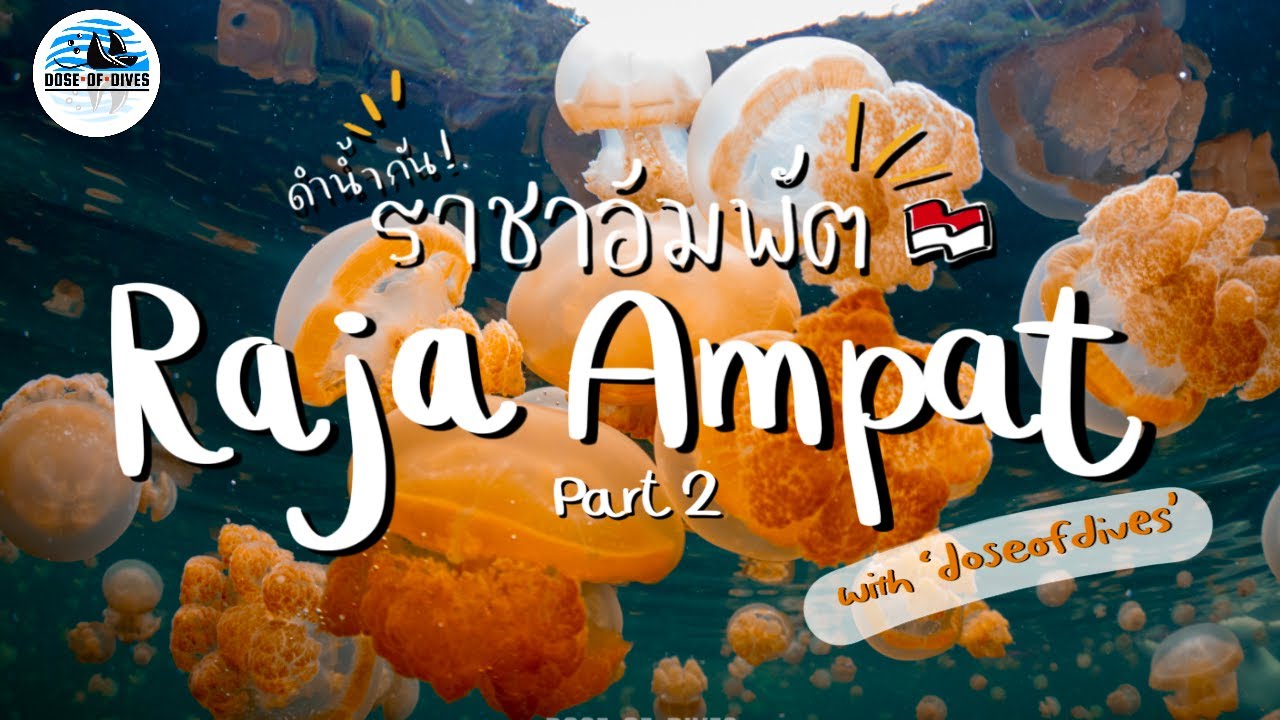 ทริปดำน้ำ ราชาอัมพัต ประเทศอินโดนีเซีย Raja ampat The last paradise : Part 2 l VLOG