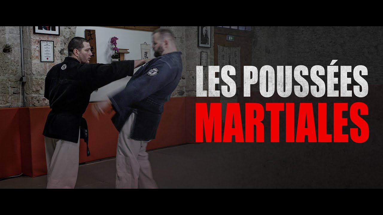 POUSSÉE MARTIALE POUR LA DEFENSE - BUDOSTREAM