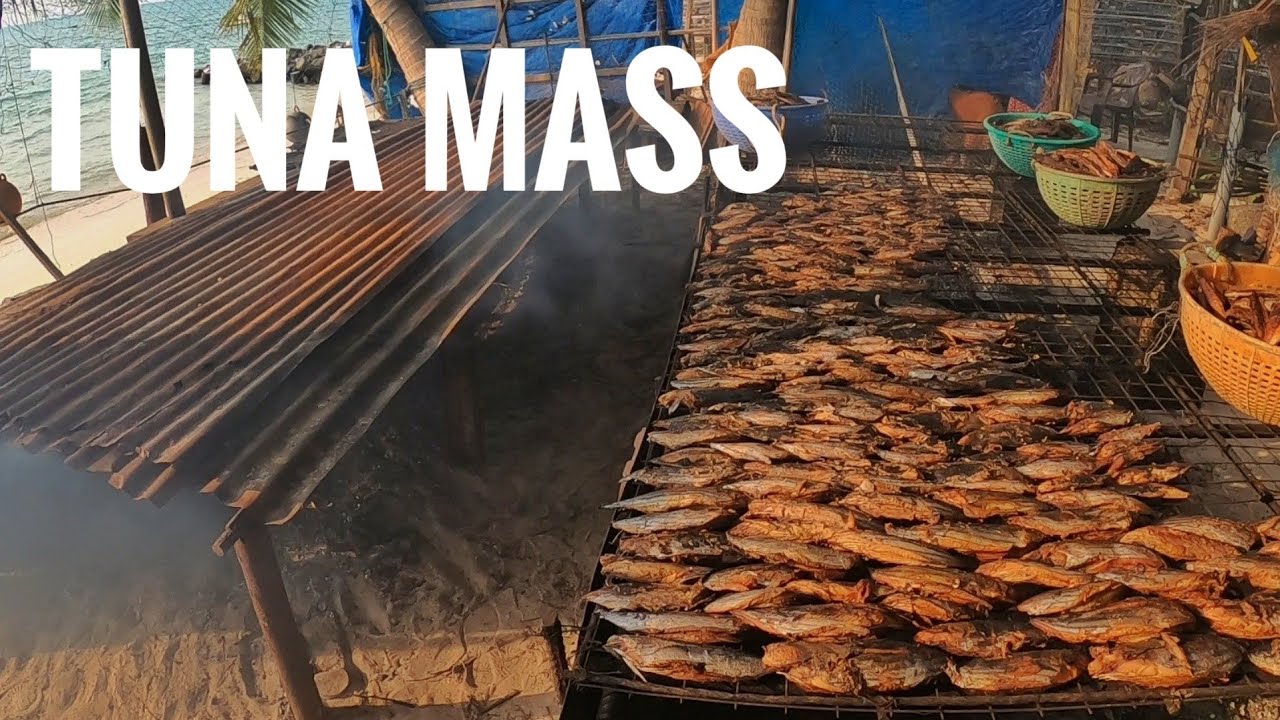 ചൂര മീൻ  ഉണക്കിയത്  ചൂര  മാസ്സ് #shorts