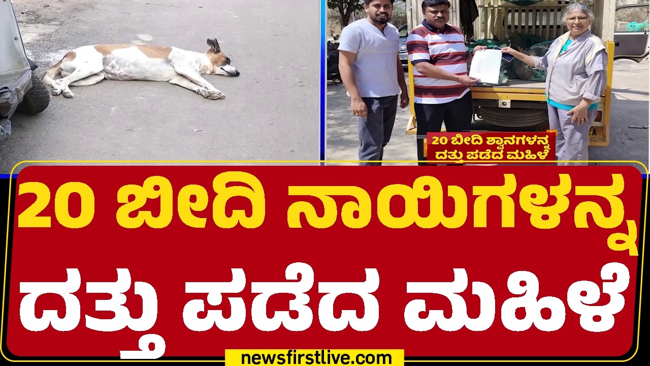 Sujaya Jagadeesh : ಇಪ್ಪತ್ತು ಬೀದಿನಾಯಿಗಳಿಗೆ ಆಸರೆಯಾದ ಮಹಾತಾಯಿ | GBA  |@newsfirstkannada