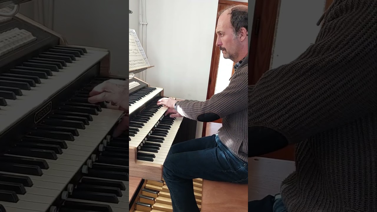 Sonata trio BWV525 II mov