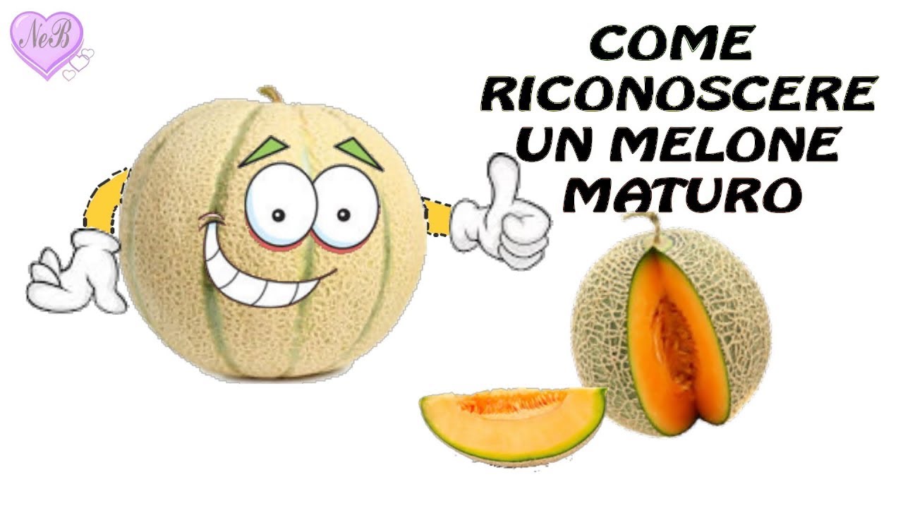 RICONOSCERE UN MELONE MATURO