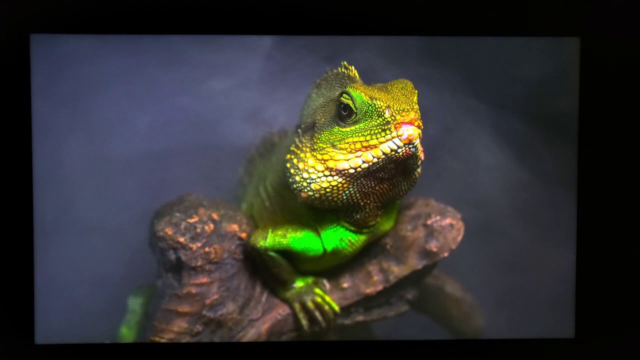 TCL MINI LED R635 SIX SERIES DOLBY VISION HDR DEMO USING THE SPEARS AND MUNSIL CALIBRATION DISC