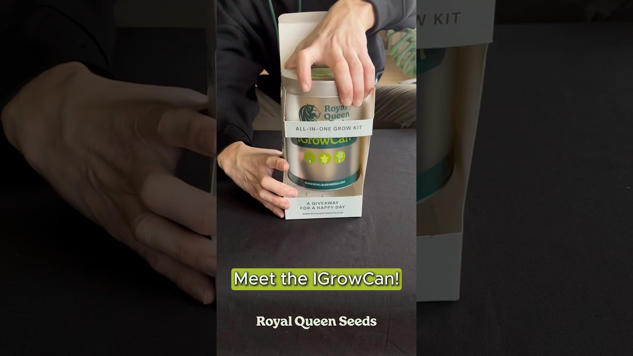 Grow your own, know your own, with the Royal Queen Seeds' IGrowCan