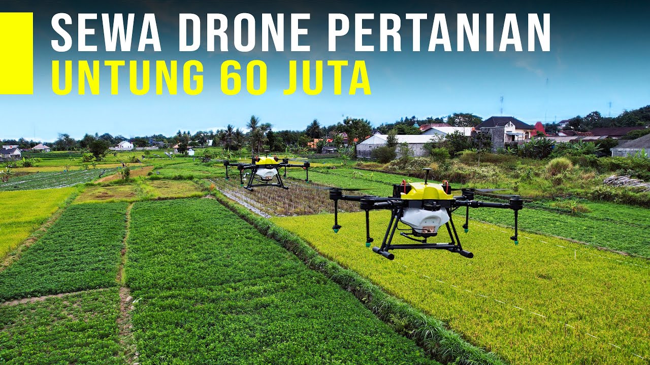 Terknologi Drone Pertanian Bisa Hemat Pupuk Dan Untung Berlimpah