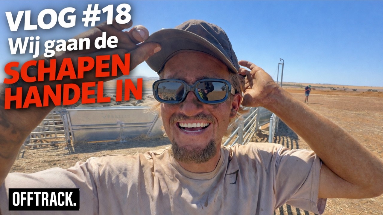 VLOG #18 Wij gaan de schapen handel in 🇦🇺