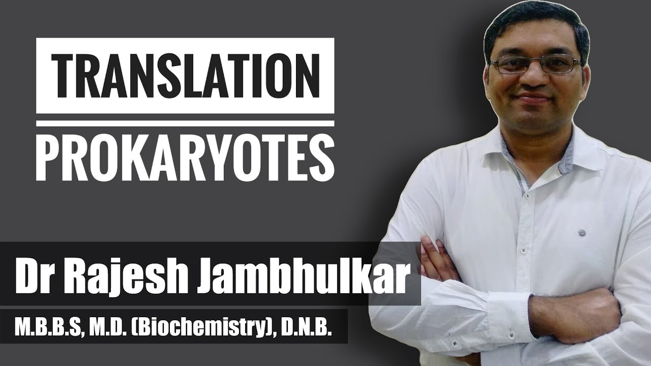 Translation in Prokaryotes
