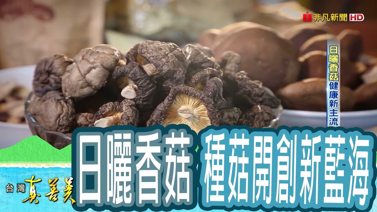 【台灣真善美】“日曬香菇”健康新主流 2019.01.06【777-4集】