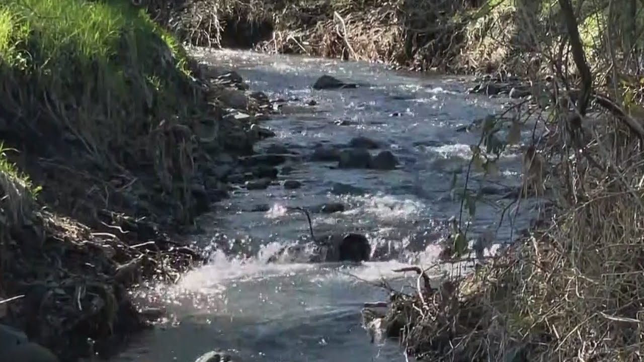 Storms leave Mount Diablo trails battered; Recent rains renew park's beauty