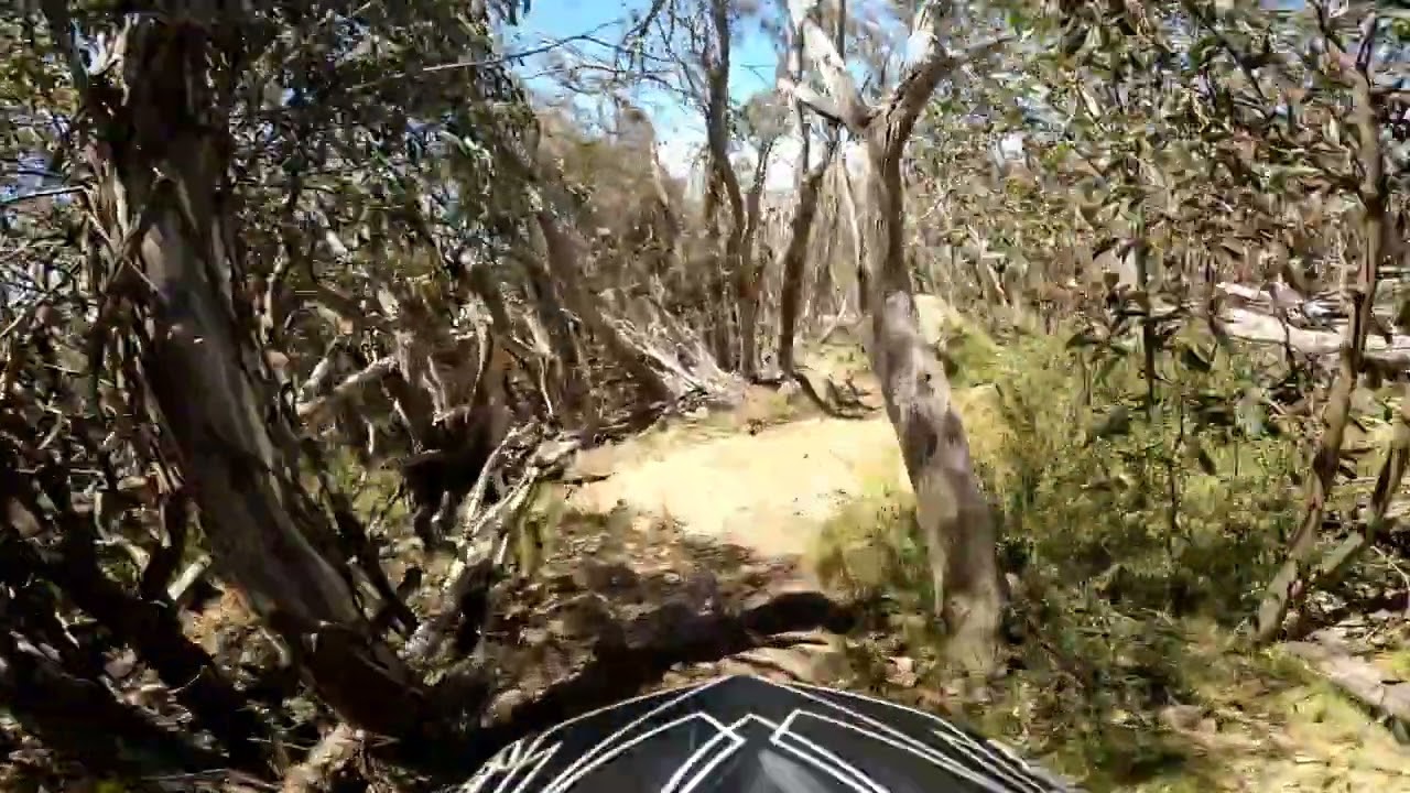 Mt  Buller  Outlaw into bottom of international 