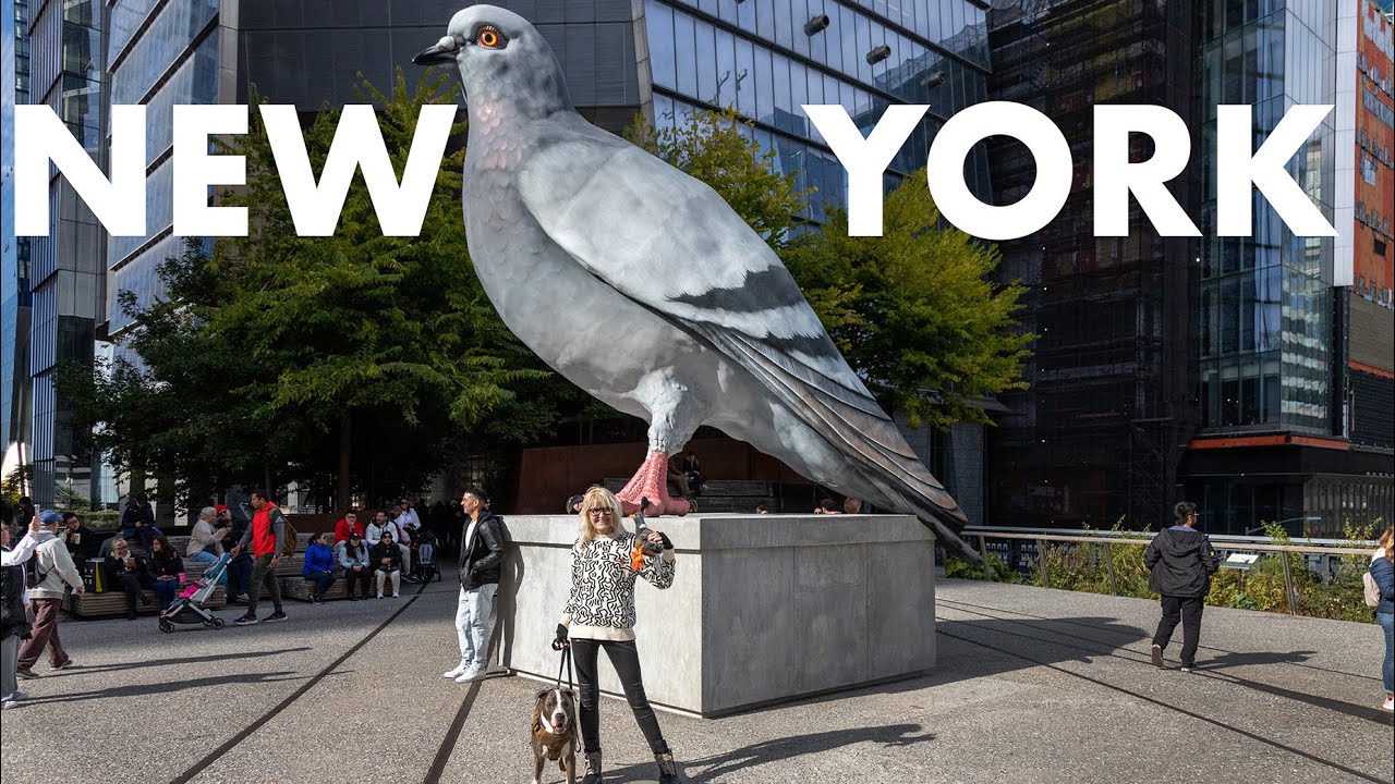 New York City LIVE Walking Comic Con & High Line Pigeon to Chelsea