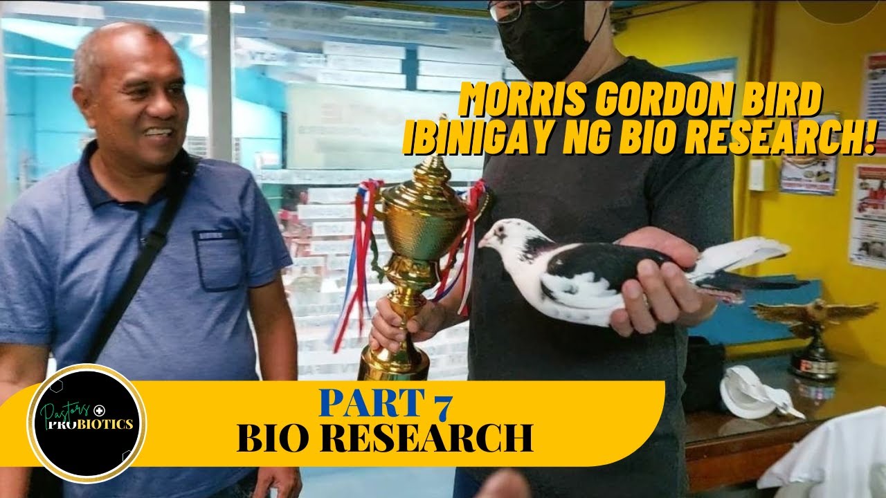 Morris Gordon bird ibinigay ng Bio Research!