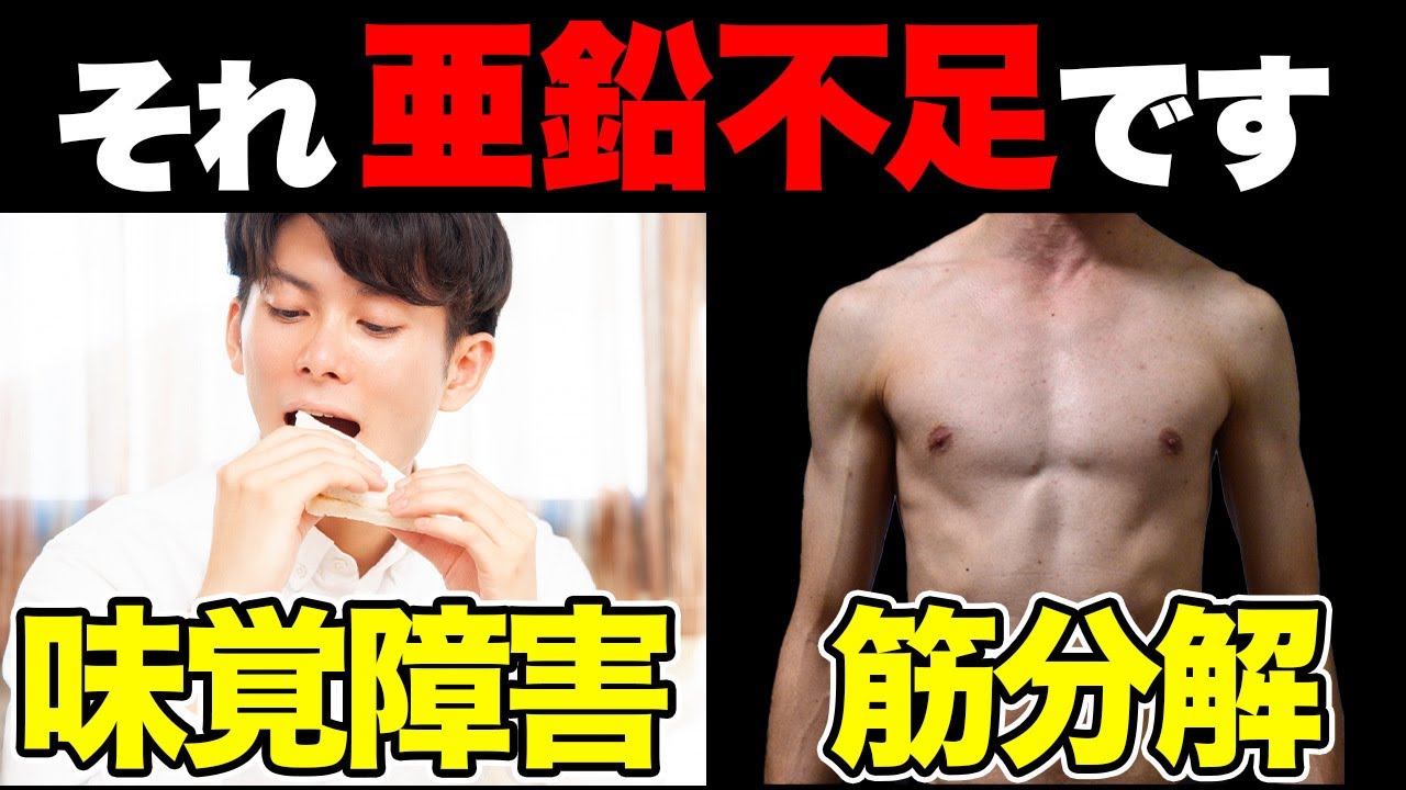 【テストステロン】亜鉛を摂取するメリットを徹底解説