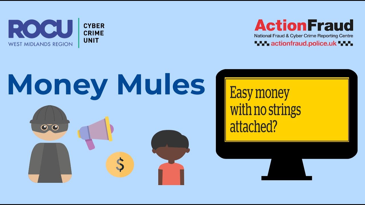 Money Mules - 