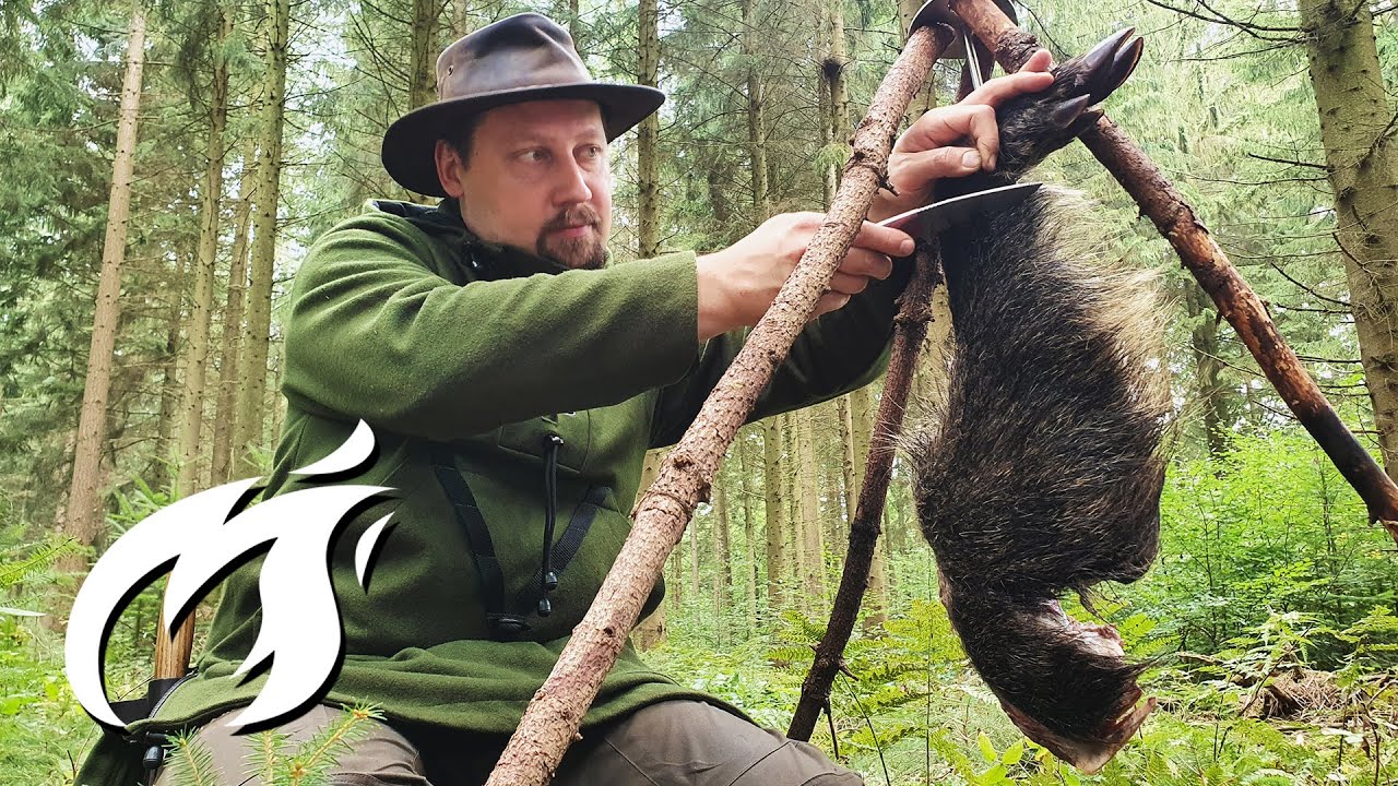 CLEAN & COOK: wie du Wildschwein im Wald häutest & grillst ASMR 🔥🔥🔥