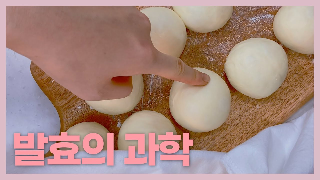 발효=빵을 부풀리는 것？🤔 발효의 과학 이야기 1탄