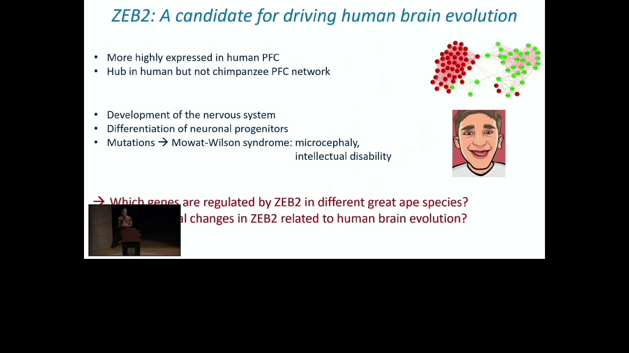 Comparative investigation of ZEB2 target genes and its regulatory... - Katja Nowick - LA 2022